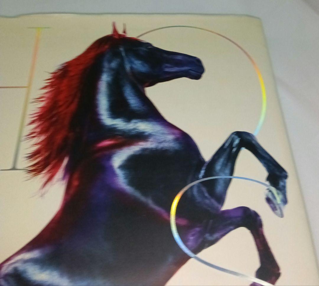 洋書 Horses by Jill Greenberg