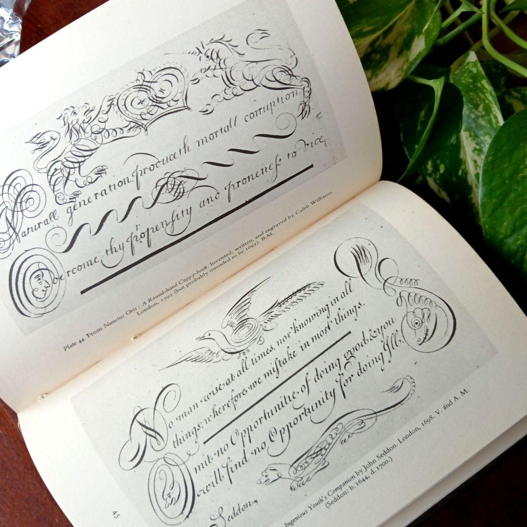 洋書古書1950年　ペンギン文庫　カリグラフィー美しい筆記体　ヴィンテージ　希少