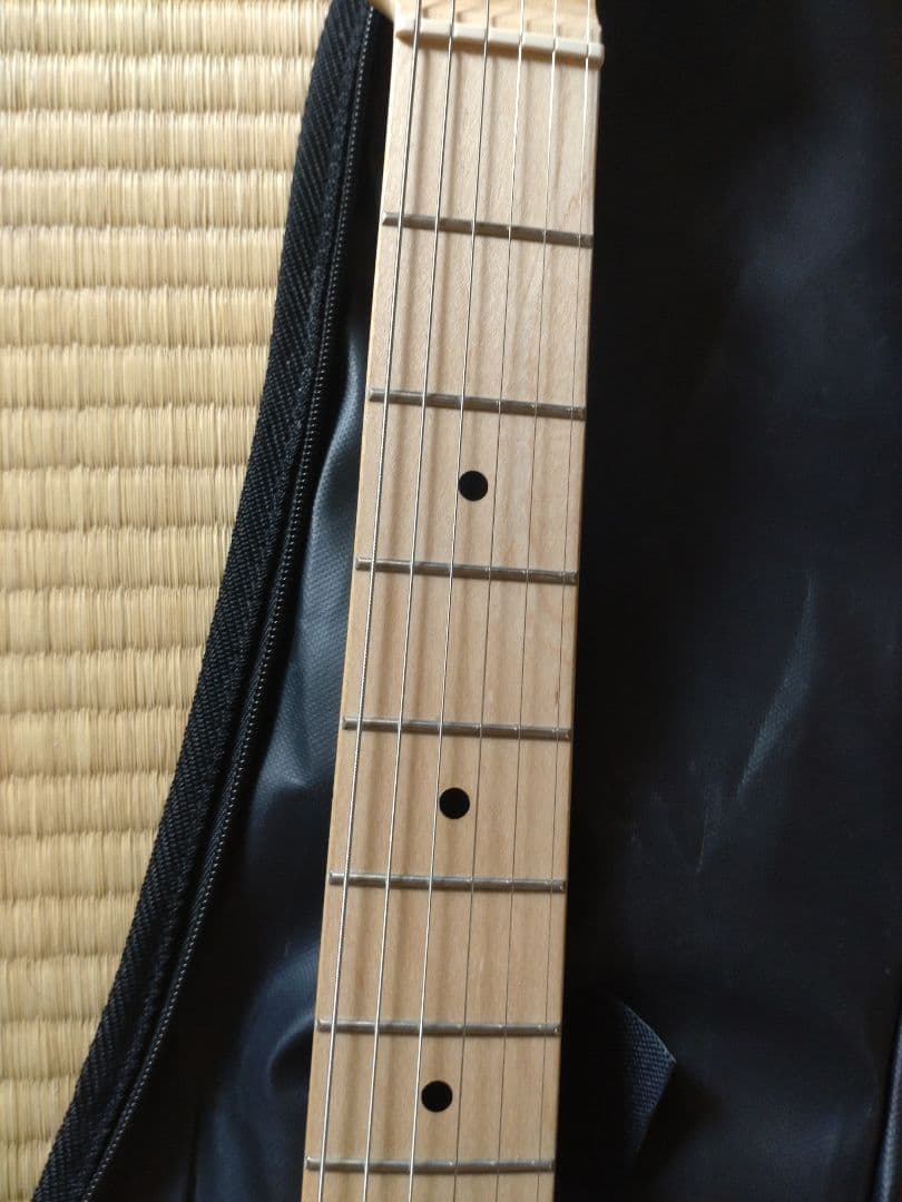 プレイテックメイプルグリーン TLタイプ ギター ケース付き