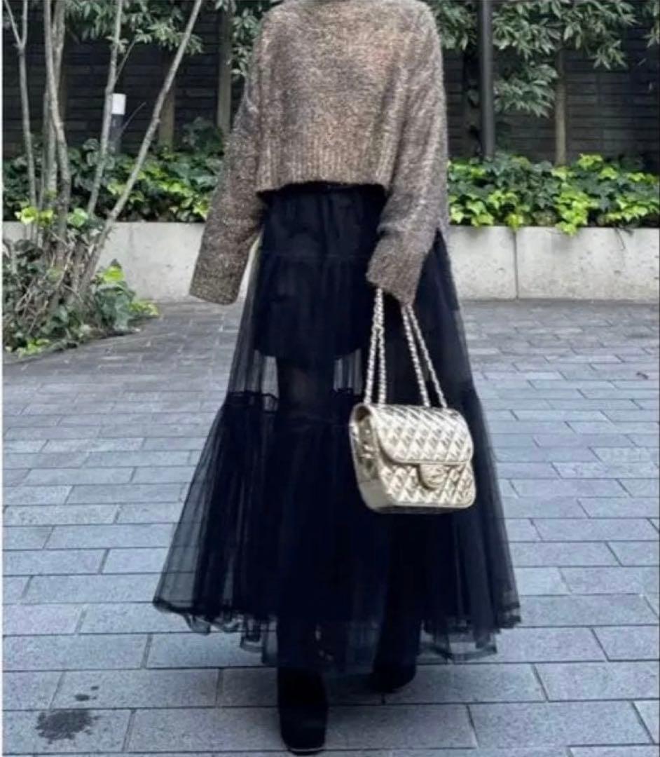 シーニュ　チュールスカート