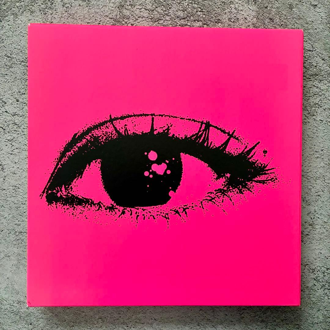 Sheena Ringo Book アートブック