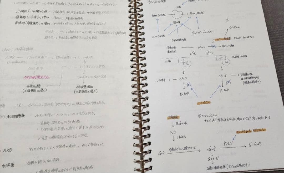 薬剤師国家試験　まとめノート　語呂ノート　価格交渉可