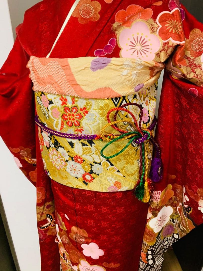 振袖単品　袷 梅 蝶 金糸 絞り 赤 正絹 秀品