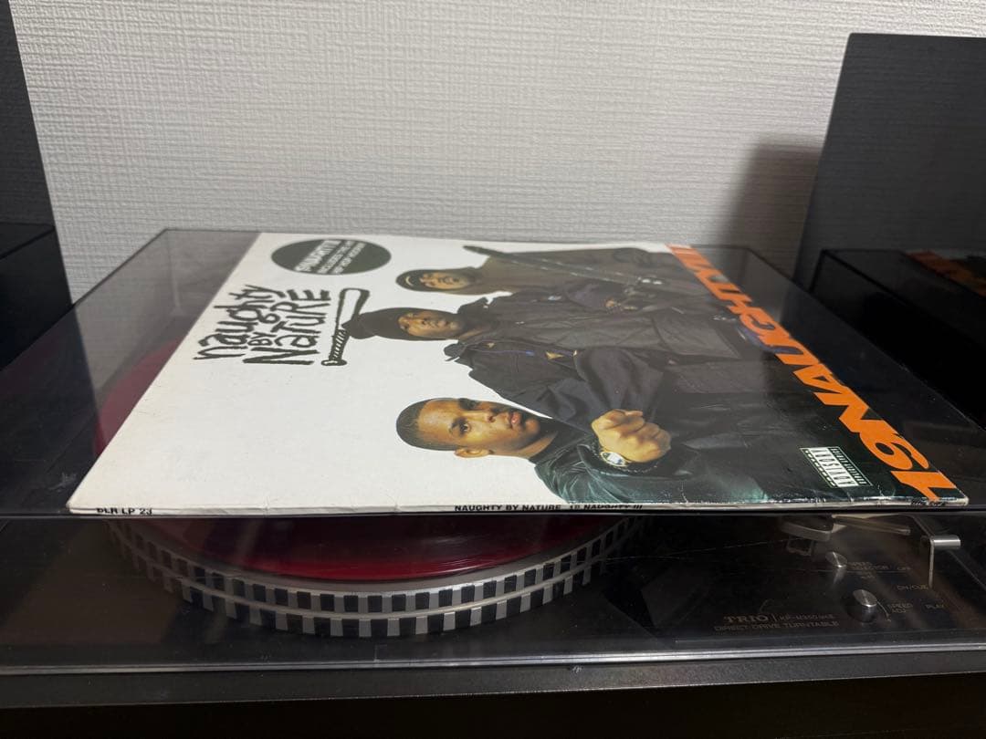 Naughty By Nature レコード