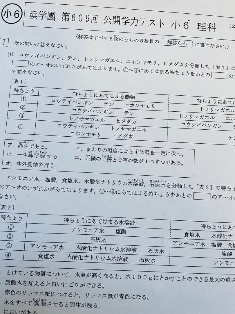 4科目 2年分 浜学園 公開学力テスト 小6 2023年、2024年度