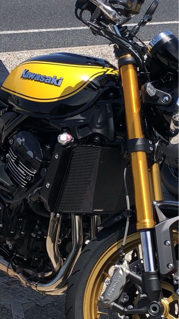 Z900RS用　エッチングファクトリーラジエーターガード