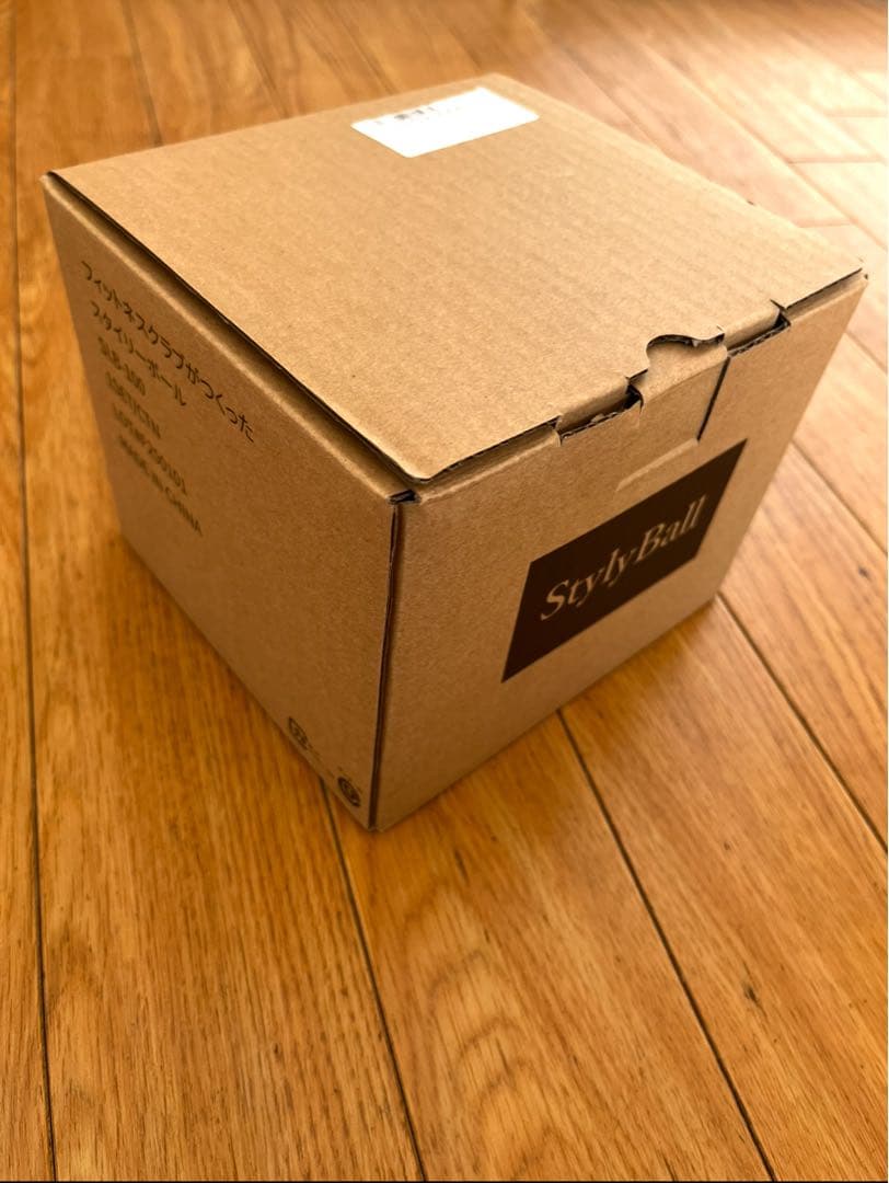 StylyBall フィットネスクラブがつくったスタイリーボール