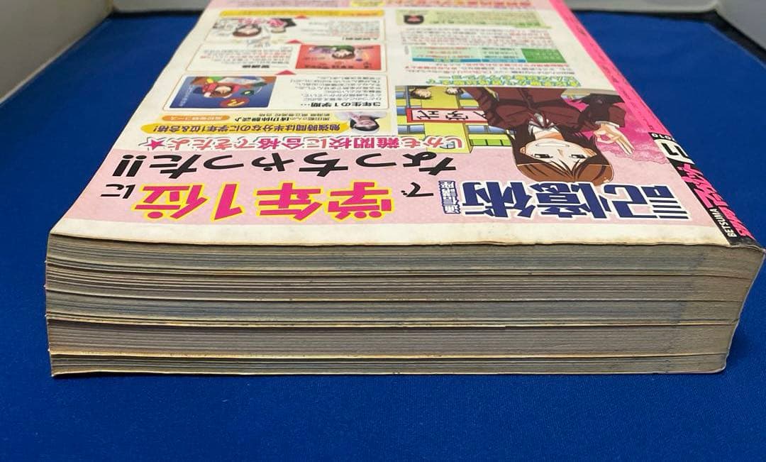 別冊マーガレット 2010年11月号 君に届け