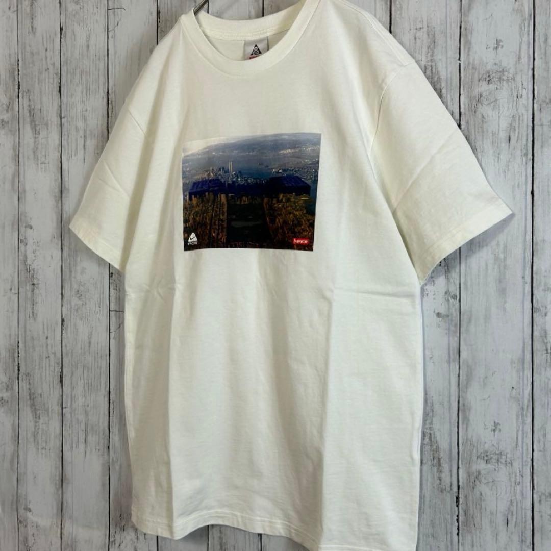 Supreme × NIKE ACG Grid Tee