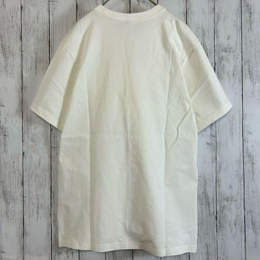 Supreme × NIKE ACG Grid Tee