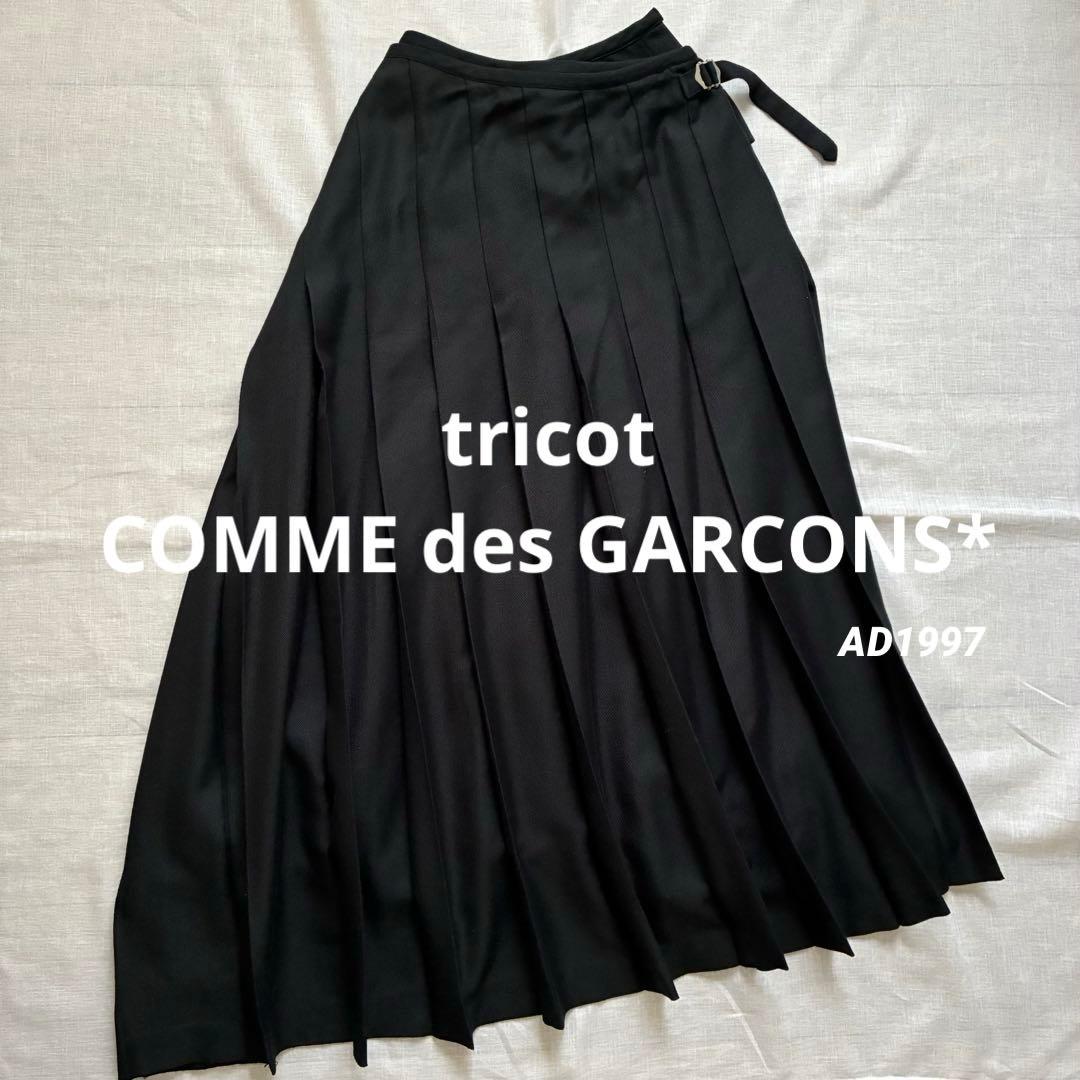 tricot COMME des GARCONS* コムデギャルソン スカート