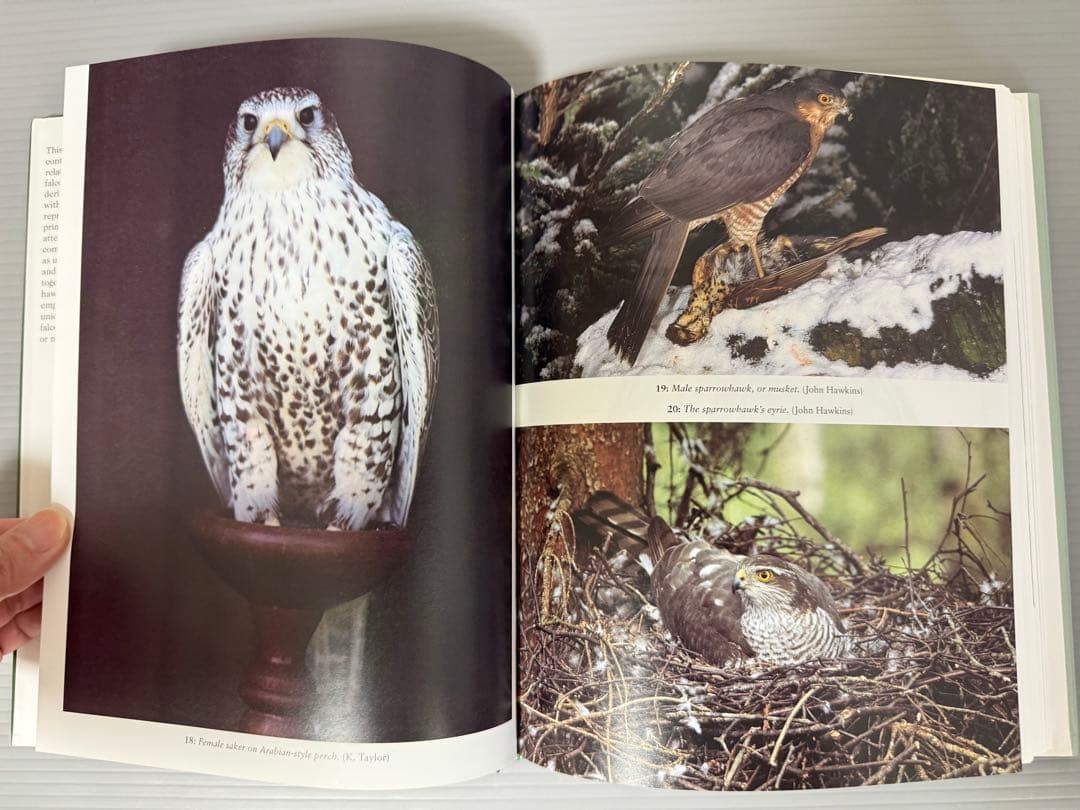 THE ENCYCLOPEDIA OF FALCONRY 鷹狩り 猛禽類 洋書