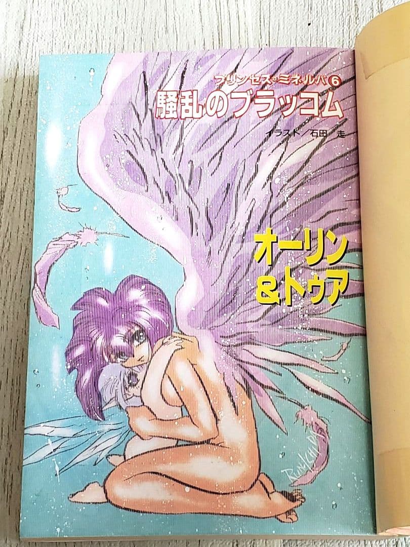 プリンセス・ミネルバ シリーズ 9冊セット