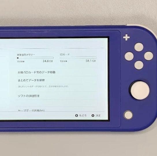 Nintendo Switch Lite 本体 動作品