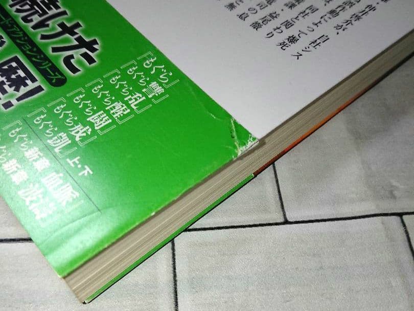 【まとめ】矢月秀作「もぐら」全巻 +「リンクス」全巻 +「D1」２１冊セット