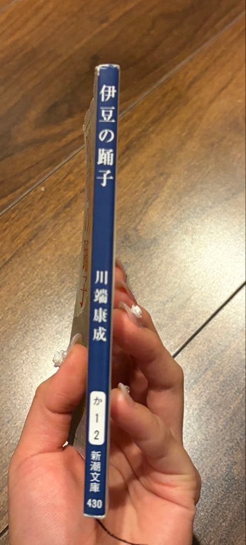 大学教科書まとめ売り10冊 英文学 社会心理学 西洋絵画史 国際紛争など