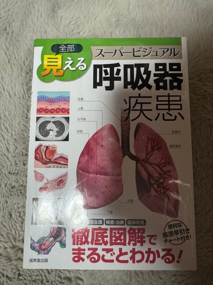 5冊セット 全部見える呼吸器疾患 消化器疾患 循環器疾患 脳神経疾患　整形外科