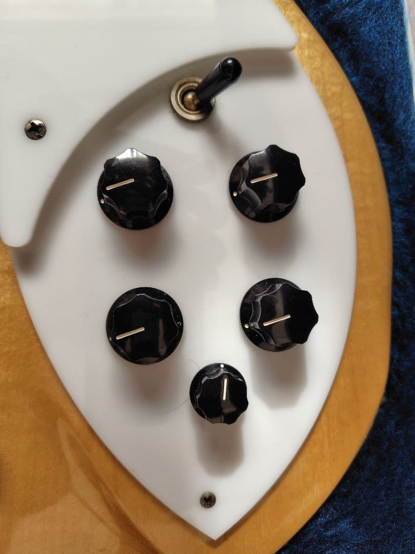 専用☆Rickenbacker 360 2001年製 （送料込）