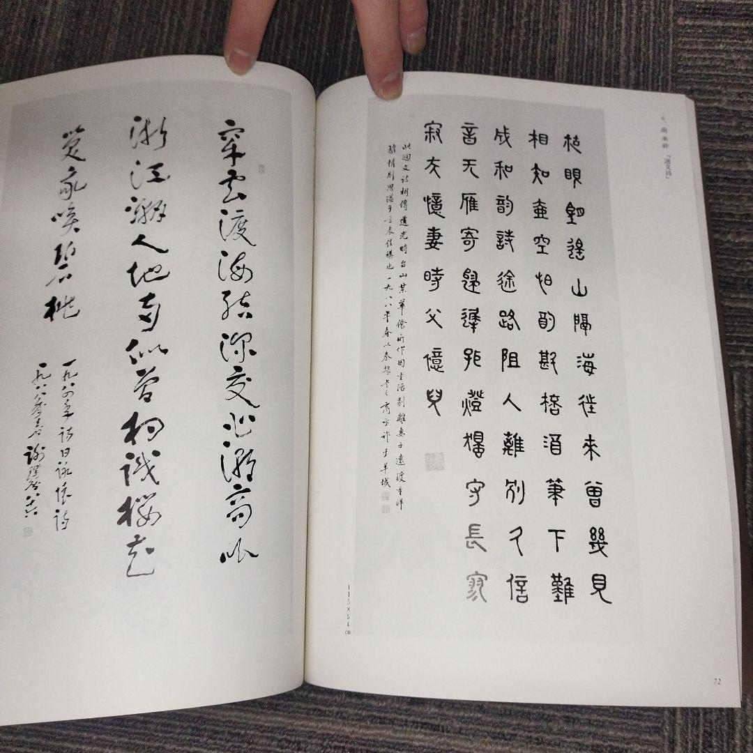 日中代表書法家展 1988年版　全日本書道連盟　小坂奇石　桑田笹舟　村上北海