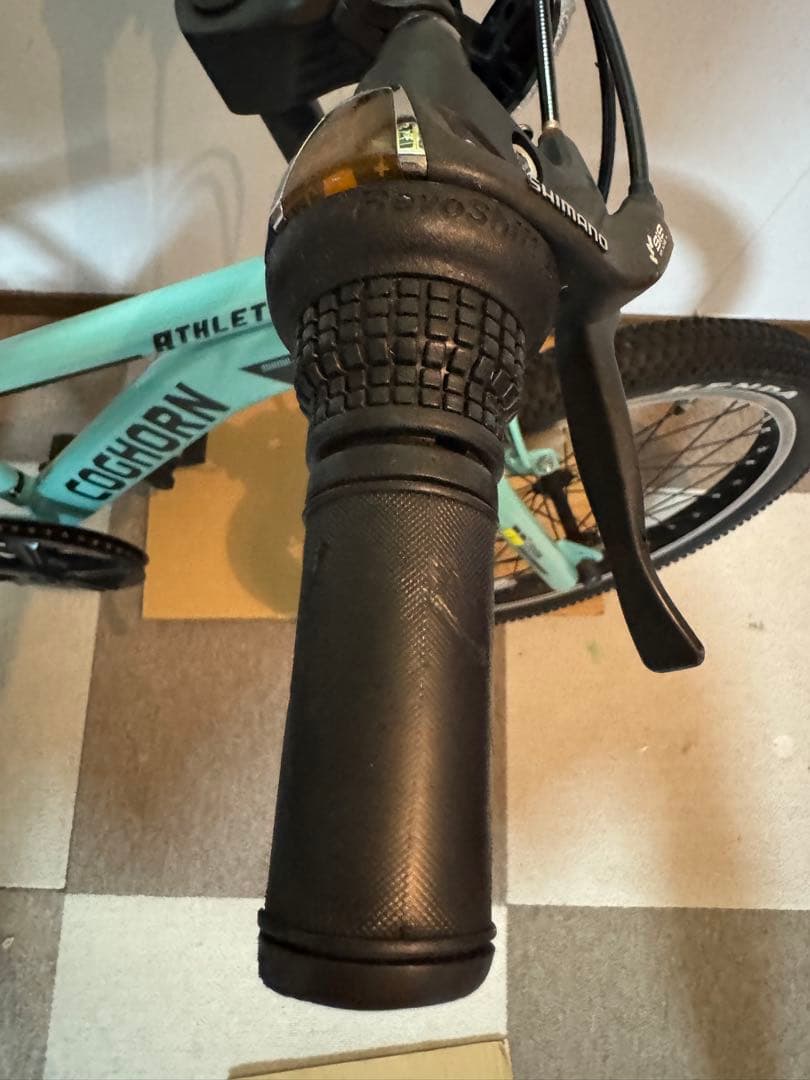COGHORN キッズバイク 20インチ子供用自転車