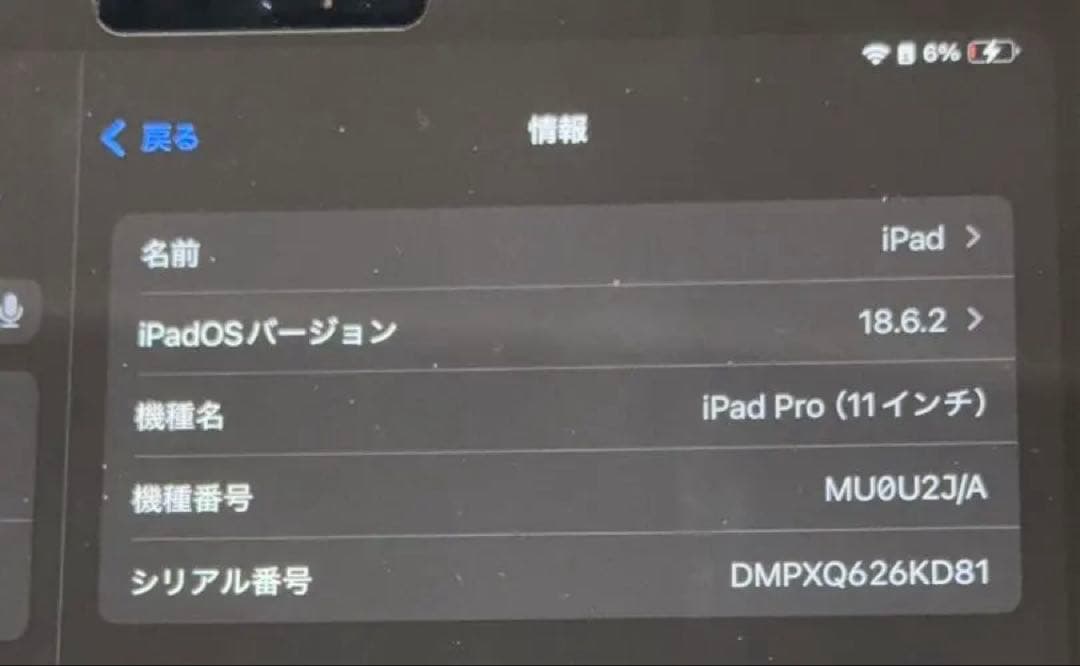 iPad Pro11インチ第一世代シルバーWi-Fi+Cellular モデル