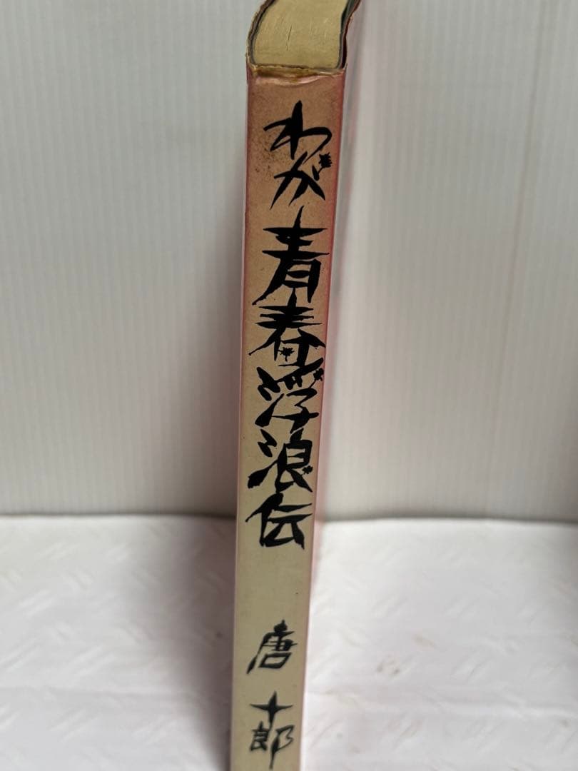 わが青春浮浪伝　唐十郎
