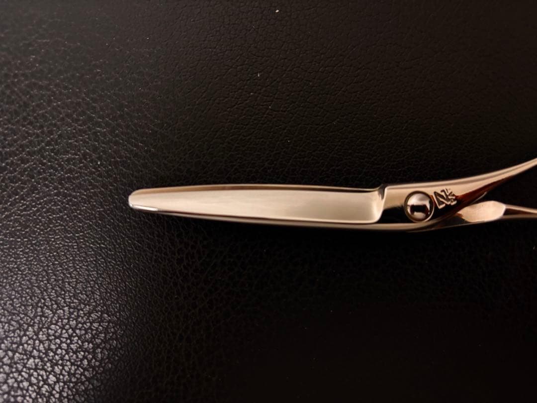 【3月のおすすめ】新品 未使用 ハイネッタ シザー レミー 201