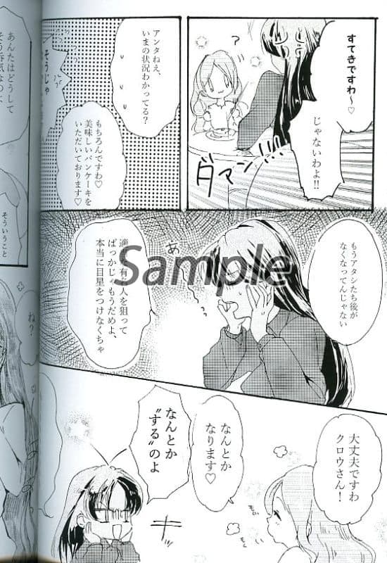 ★９２★【レア　シリーズ２冊セット】　セーラームーン　同人誌　星野光×月野うさぎ