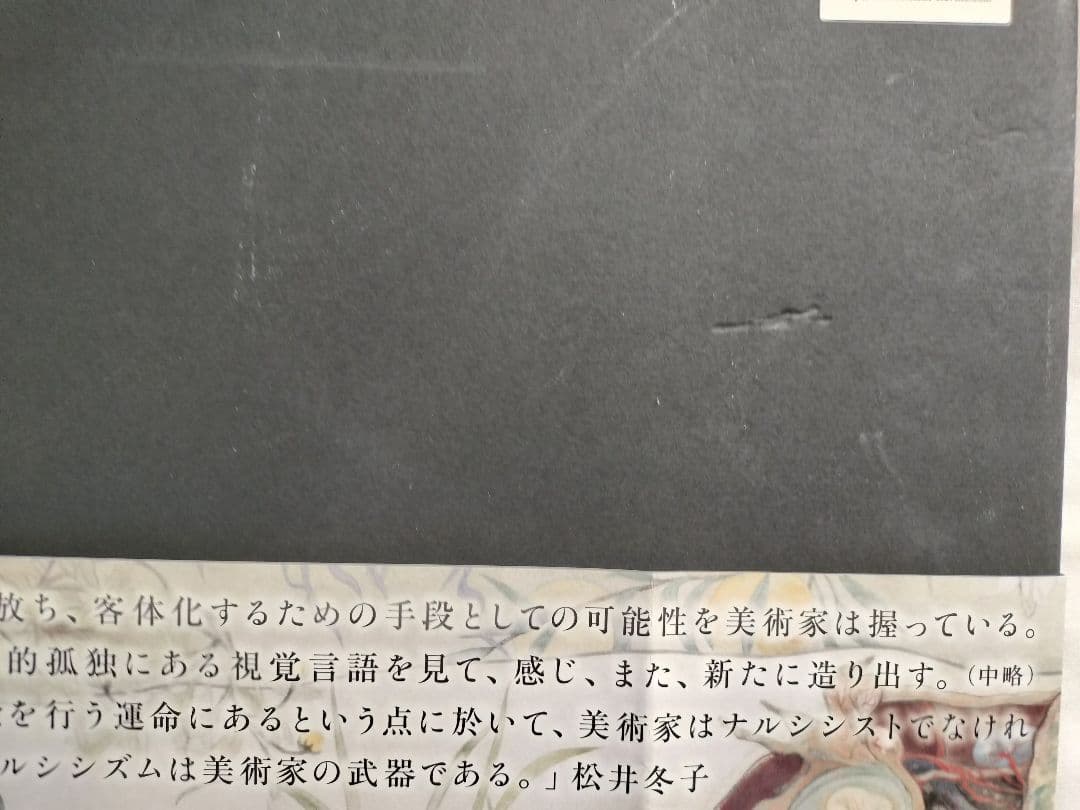 松井冬子　Ⅰ＆Ⅱ　画集　セット