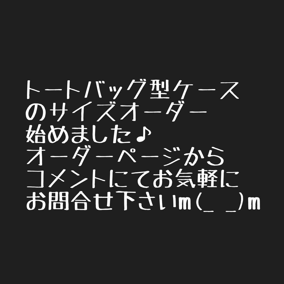 即購入OK！オールドマウンテン×ノラズフレームリムジン用収納バッグ型ケースＥ