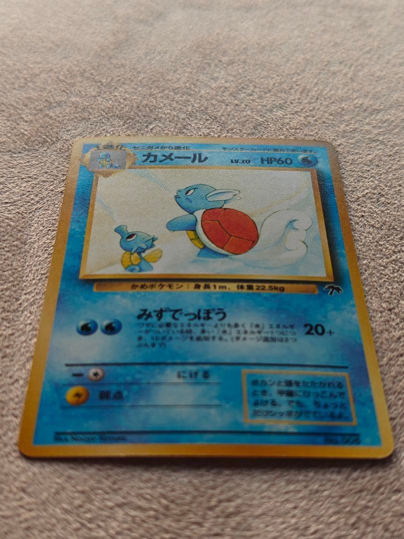 旧裏 ポケモンカード　サザンアイランド　トロピカルアイランド　海辺