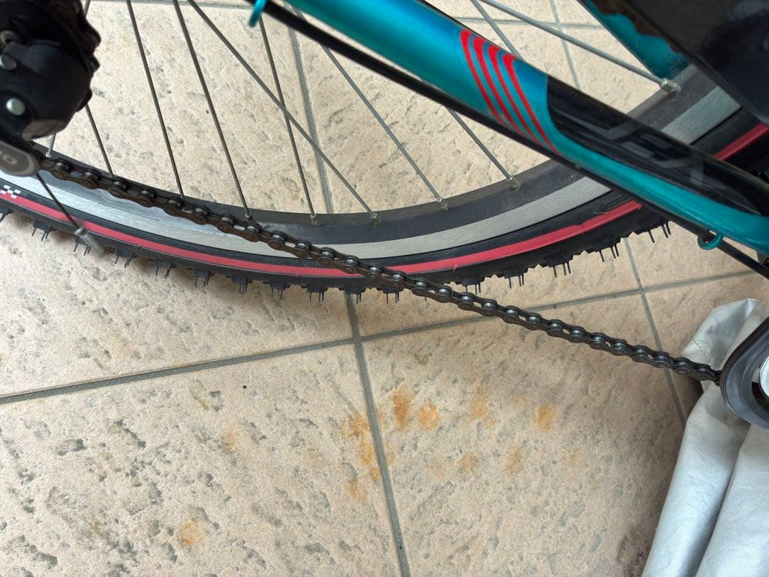 24型 自転車 エクスプレスジュニア (６段変速） エメラルドグリーンEXJ45