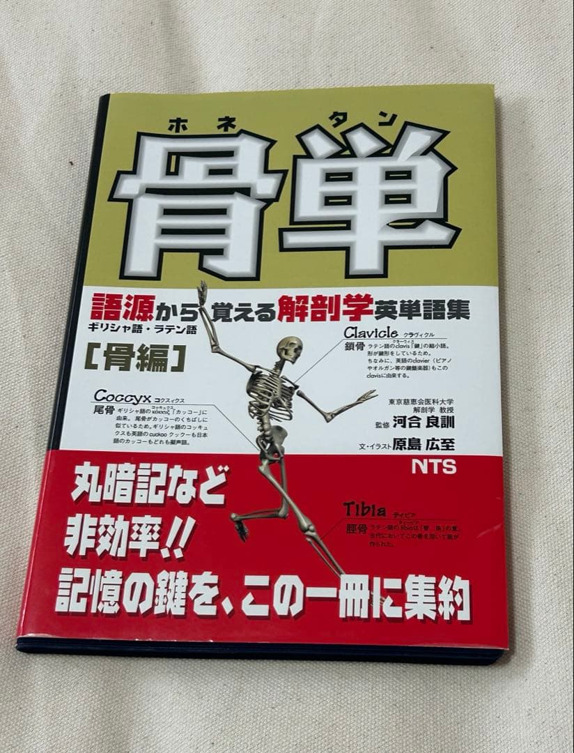 語源から覚える解剖学英単語集　肉単/脳単/骨単/臓単　セット
