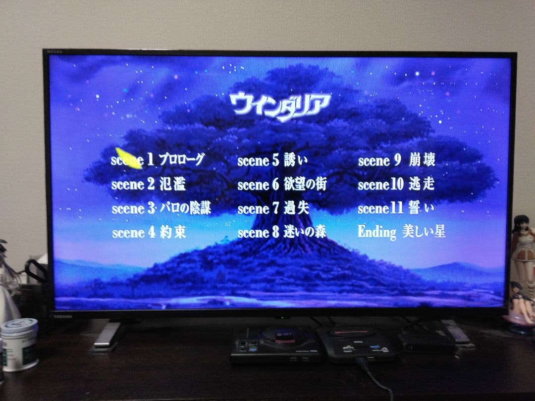 【良品・完品】ウインダリア DVD