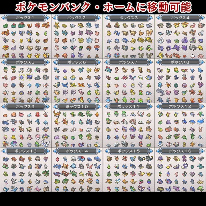 ポケットモンスター　ウルトラムーン　【ウルトラサンムーン】ポケモン　3DS　12