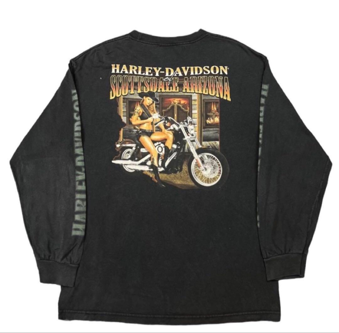 【Lサイズ】Harley Davidson ロンT 袖プリ ピンナップガール