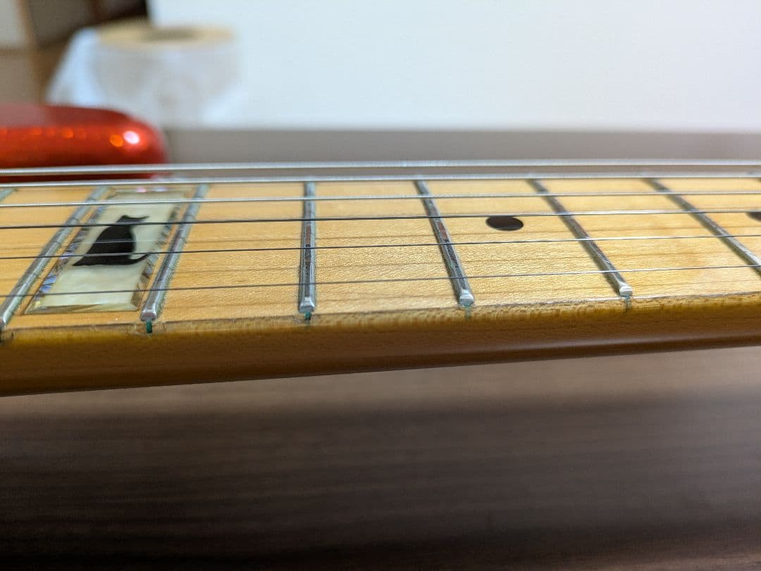 FERNANDES LD-95KK　L'Arc~en~Ciel　ken