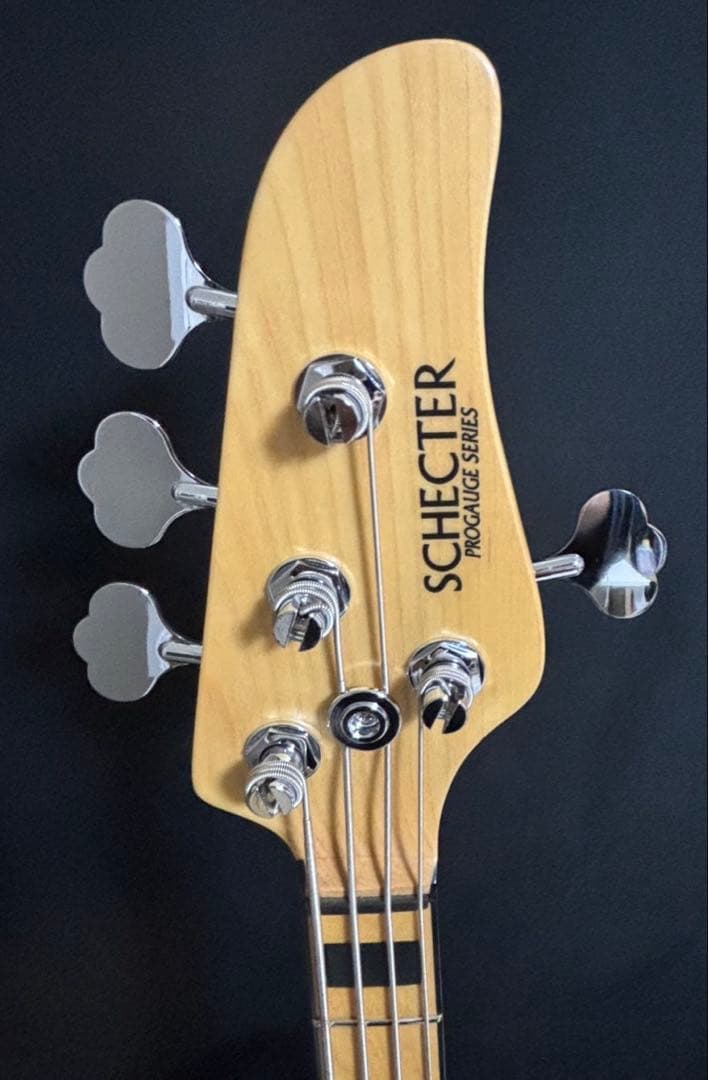 【専用】SCHECTER TOMOHIRO FACT シェクター　ベース