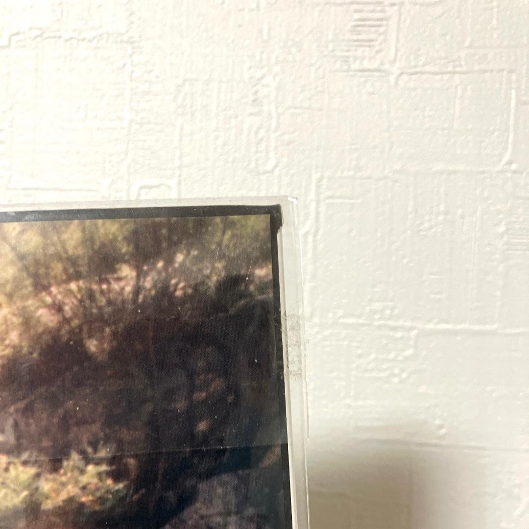 【新品未開封】Fishmans『Long Season』LP/アナログ盤
