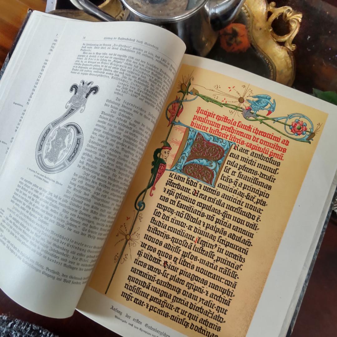 3冊セット.:*゜背表紙が素敵なドイツの古書　文学書　20世紀初頭　ブラック系