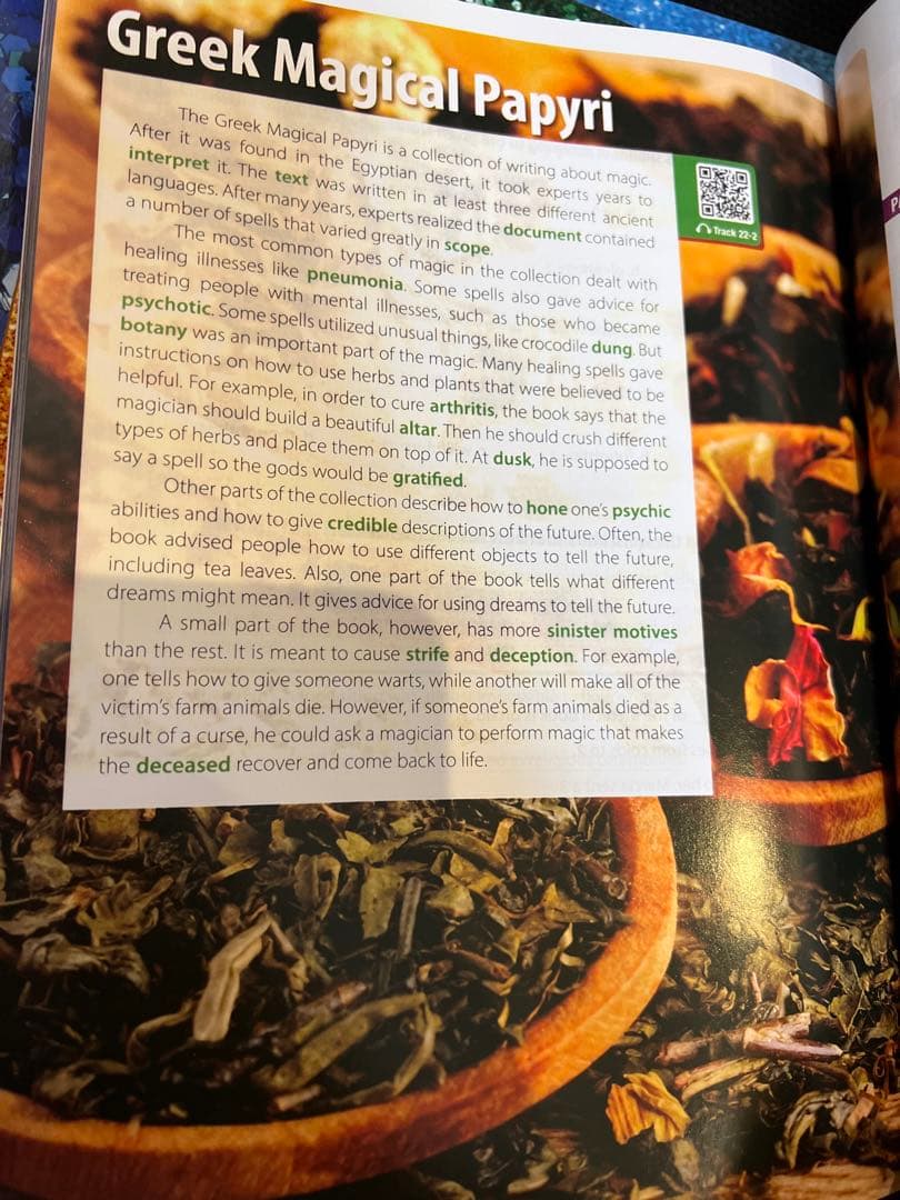 洋書4000 Essential English Words 1-6 未使用