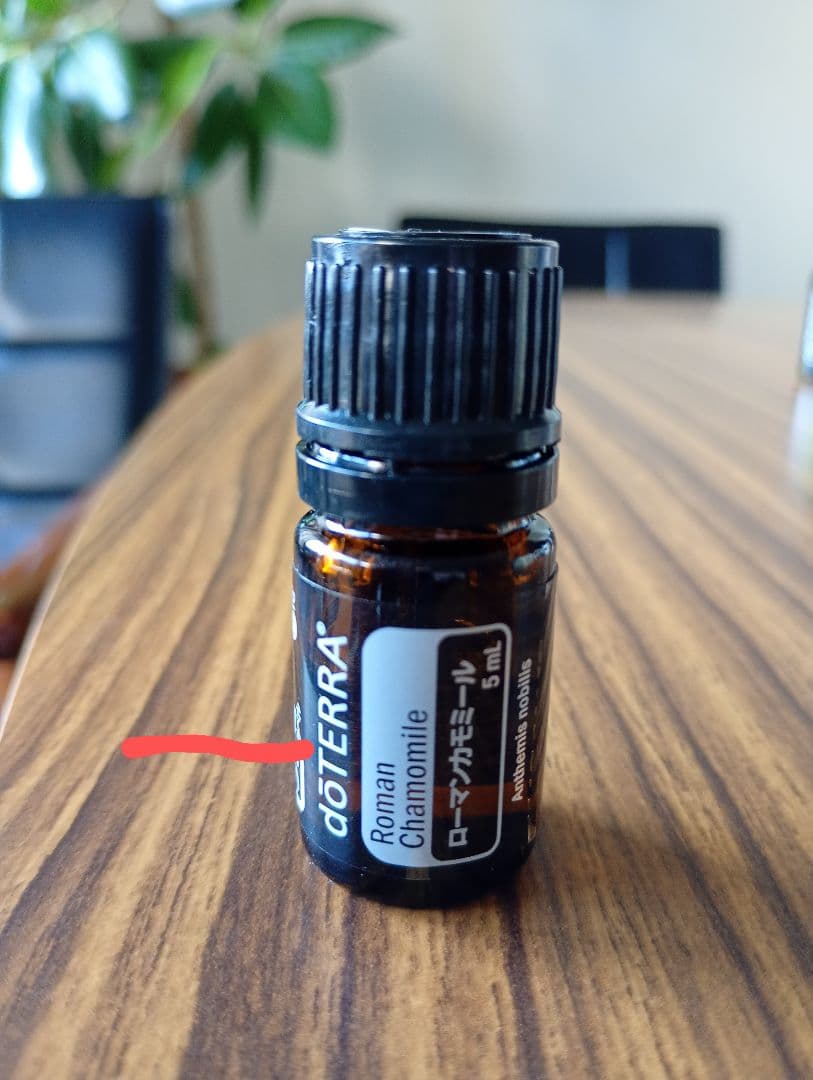 doTERRA エッセンシャルオイルセット 6本（中古品）