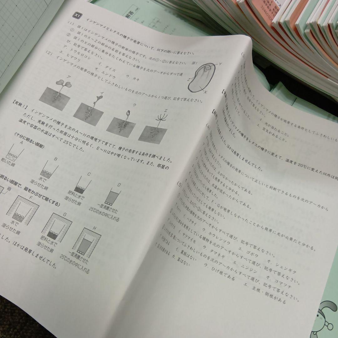 サピックス６年理科　デイリー/夏期集中/春夏/土特 /日特　中古　２０２５年受験