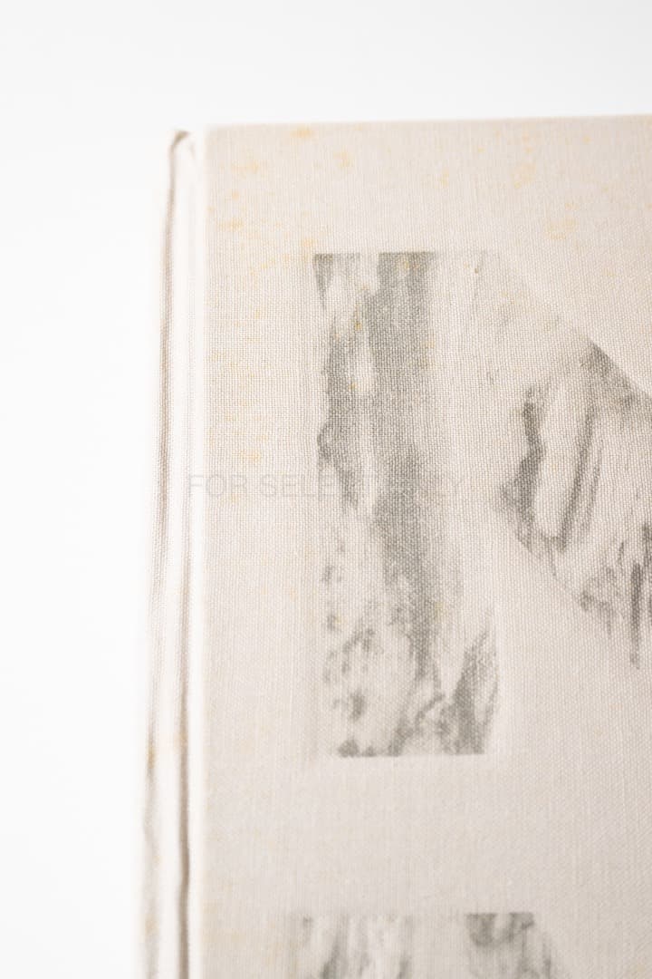 アート・デザイン・音楽 NOMA: Time and Place in Nordic Cuisine