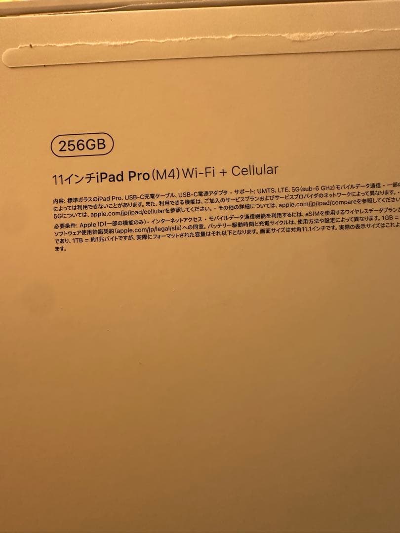 11インチiPad Pro (M4)