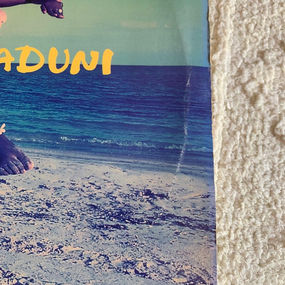 洋楽 ARRESTED DEVELOPMENT ZINGALAMADUNI 2LP