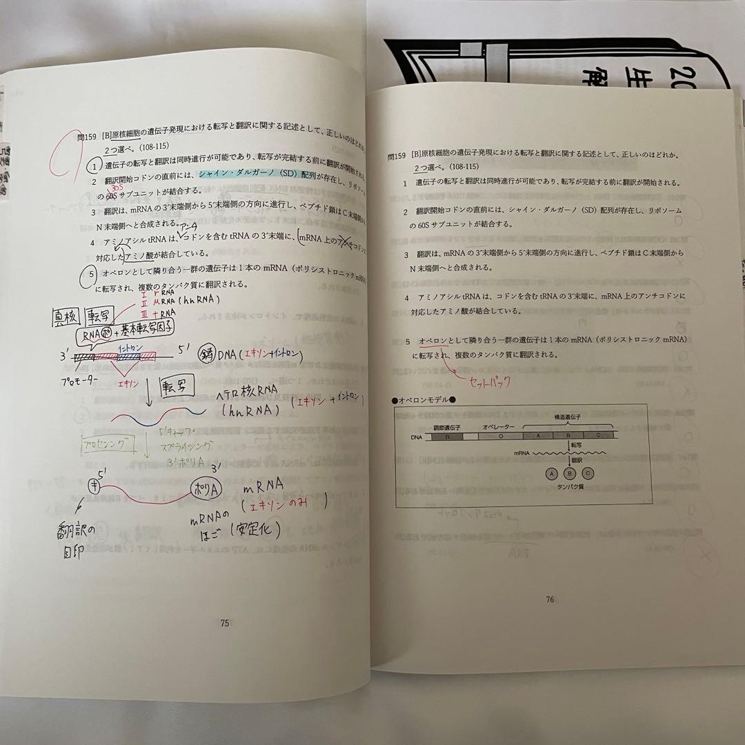 薬ゼミ 半年コース 110回薬剤師国家試験 対策