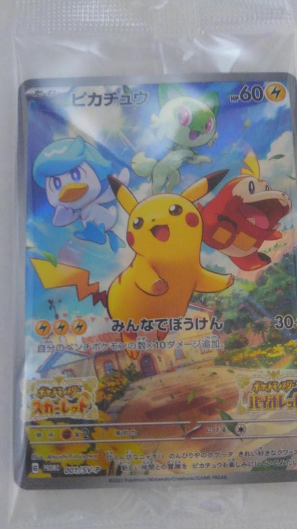 じょうポケモンレジェンズ＋ポケカ みんなでぼうけん