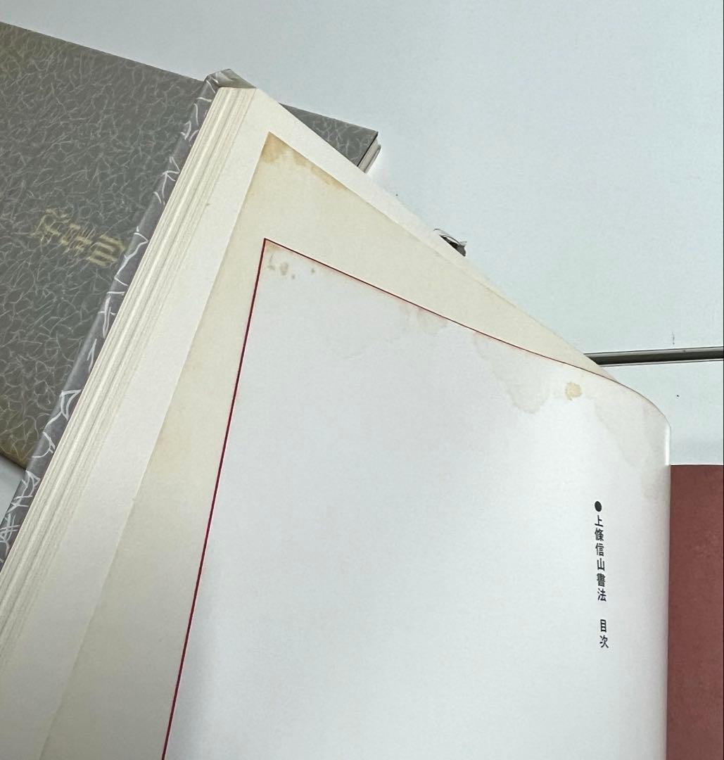 現代日本書法集成 9巻セット