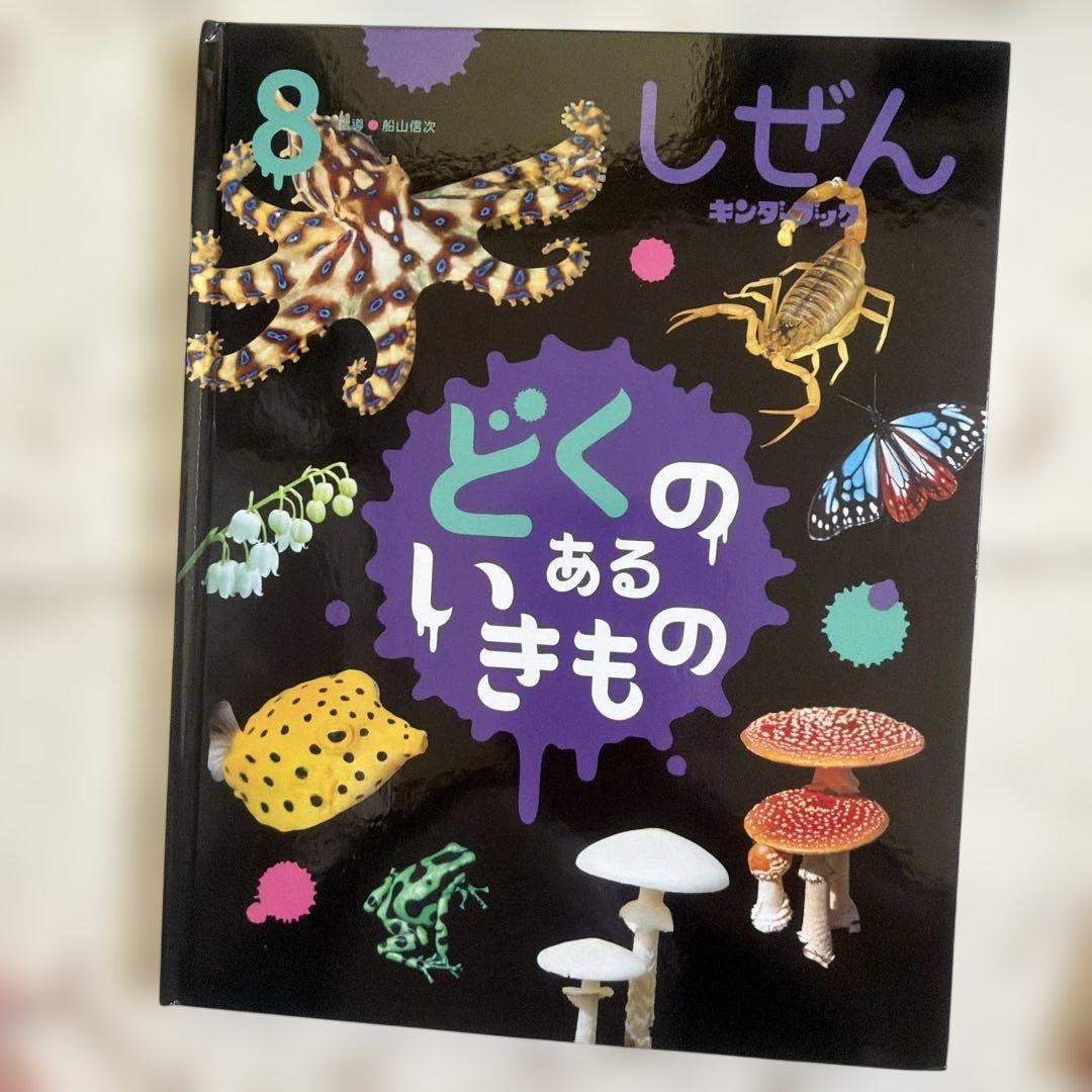 しぜん 絵本シリーズ 20冊のまとめ売り　年長向け
